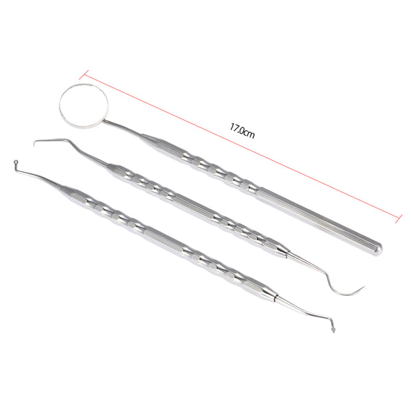Stainless Steel Dental Hygiene Kit
