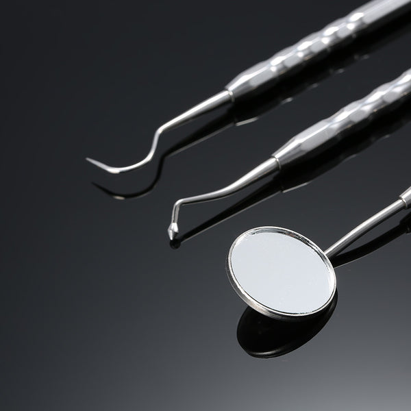 Stainless Steel Dental Hygiene Kit