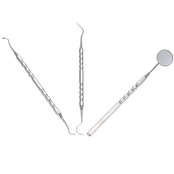 Stainless Steel Dental Hygiene Kit