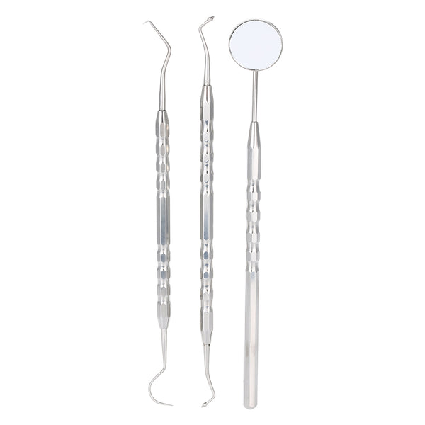 Stainless Steel Dental Hygiene Kit