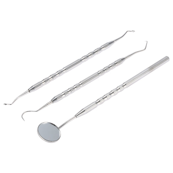 Stainless Steel Dental Hygiene Kit